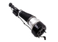 A2213205413 A2213205313 Front Air Suspension Strut Shock For Mercedes W221 4 Matic S320 350 450 S500 CL500