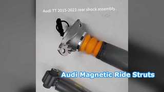 Audi TT A3 S3 RS3 Magnetic Ride Struts