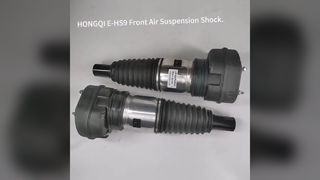 Hongqi E HS9 Front Air Suspension Shock Strut Replacement