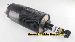 Cadillac Escalade 21-24 Rear Air Suspension Strut Shock Absorber.