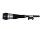 Mercedes Benz W222 Rear Left and Right Airmatic Suspension Shock Absorber A2223200313 A2223200413