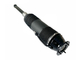 Rear ABC Hydraulic Strut Shock Absorber A2203201813 A2203206013 For Mercedes Benz W220 W215 CL500