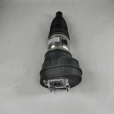 29022115QR01 Front Air Suspension Shock Struts with ADS For HONGQI E-HS9
