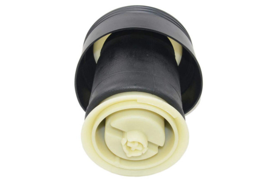 37126790079 Suspension Automotive Air Springs For BMW E70 E71 X5 X6 Air Bag