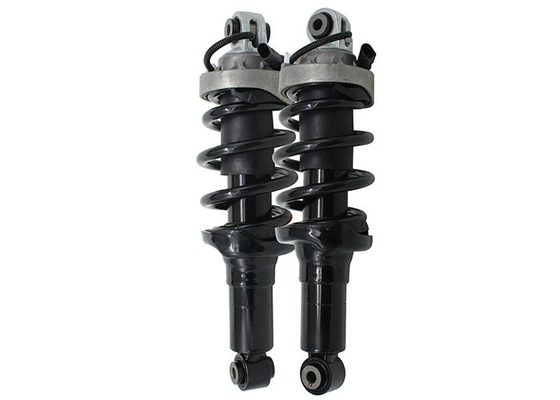 420412019AG 420412020AG Front Coil Spring Strut Shock Absorber For Audi R8 2007-2015